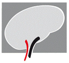 Aachen Neurologie Logo
